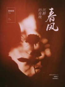 ����С˵:���������ҹ��