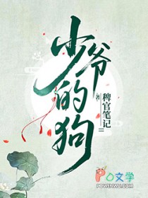 ����С˵:��ү���µ���֮������