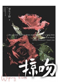 ����С˵:����