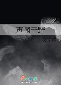 ����С˵:������Ұ