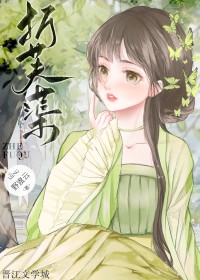 ����С˵:��ܽޡ