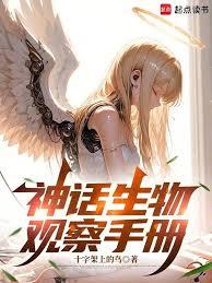 ����С˵:������۲��ֲ�