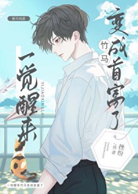 ����С˵:һ��������������׸���