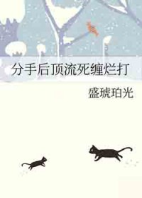 ����С˵:���ֺ��������ô�