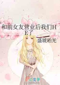 �ٺ�С˵:��ǰŮ��Ӫҵ������HE��