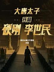 ����С˵:����̫�ӣ�����Ӳ��������