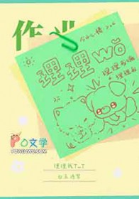 ����С˵:������T