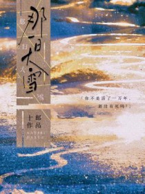 ����С˵:��һ�մ�ѩ