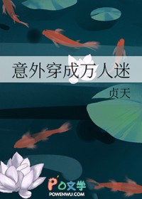 ����С˵:���⴩��������