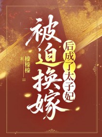 ����С˵:���Ȼ��޺����̫����