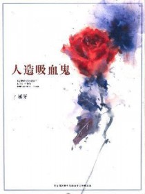 ����С˵:������Ѫ��