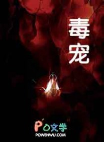 ����С˵:����