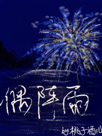 ����С˵:ż����