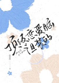 ����С˵:���������ԣ���װ��