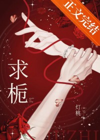 ����С˵:����