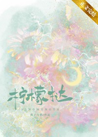 ����С˵:����̢