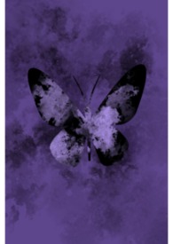 ����С˵:����֮��(np��