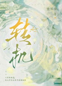 ����С˵:ת��