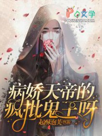 ����С˵:������۵ķ�������ѽ