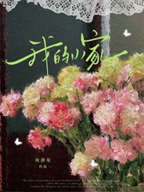 ����С˵:�ҵ�С��