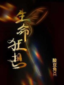 ����С˵:��������