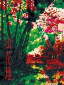 ����С˵:ɽ����