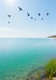 ����С˵:��ȥ���⣨GB��