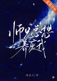 ����С˵:ʦ������������