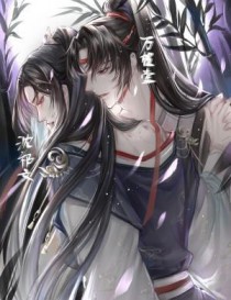 ����С˵:�泼ʹ��ָ��