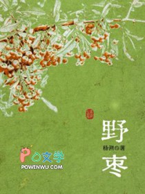 ����С˵:Ұ��