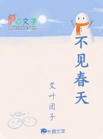 ����С˵:��������