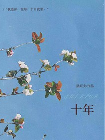 ����С˵:ʮ��