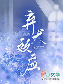 ����С˵:��ȮЧӦ