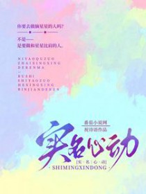 ����С˵:ʵ���Ķ�