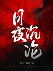 ����С˵:˽���¹�