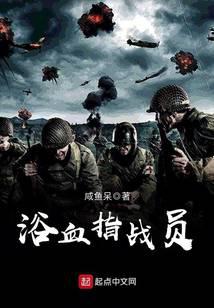 ����С˵:ԡѪָսԱ