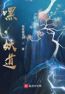 ����С˵:��������