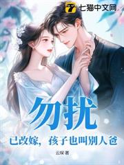 ����С˵:��˾���������ɷ��ҹ���غ�����