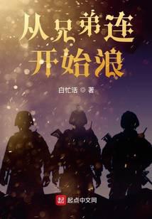 ����С˵:���ֵ�����ʼ��