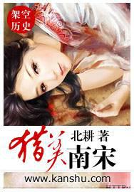 ����С˵:��������