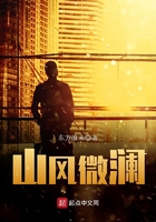 ����С˵:ɽ��΢��