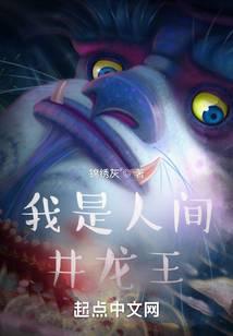 ����С˵:�����˼侮����