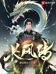 ����С˵:���紫