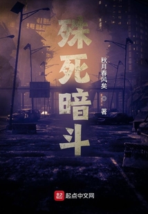 ����С˵:��������