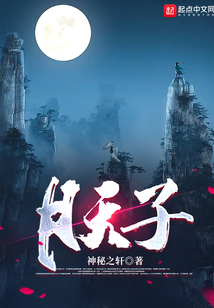 ����С˵:������