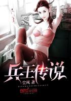 ����С˵:������˵