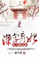 ����С˵:������һ�鳼