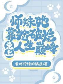 ����С˵:ʦ���������������������۷�