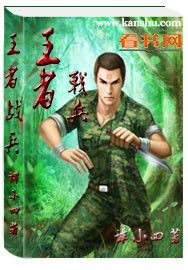 ����С˵:����ս��