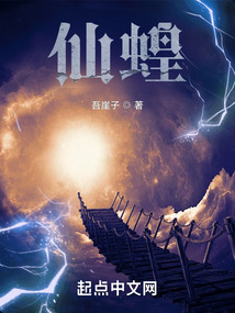 ����С˵:�ɻ�